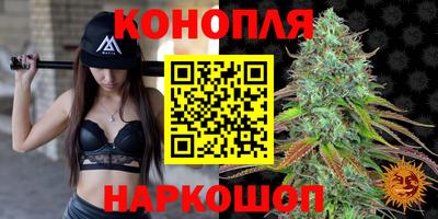 спиды Аргун