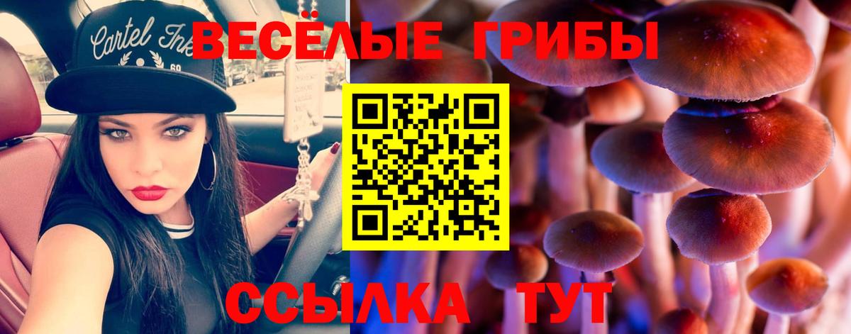 Псилоцибиновые грибы прущие грибы  Галлюциногенные грибы GOLDEN TEACHER  Аргун  Вход с VPN 